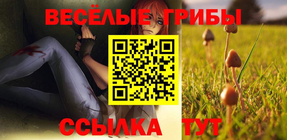 Псилоцибиновые грибы Cubensis  Псилоцибиновые грибы мицелий  Татарск  Вход с VPN 